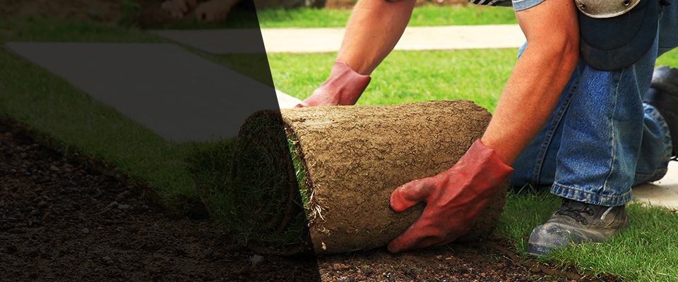 North Wilkesboro Landscapers